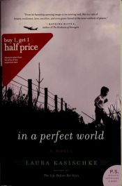book cover of In a perfect world by Laura Kasischke
