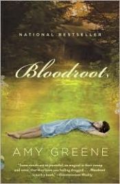 book cover of Bloodroot by Amy Greene