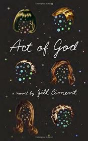 book cover of Act of God by Jill Ciment