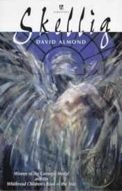book cover of De schaduw van Skellig by David Almond