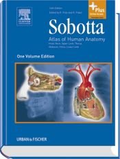 book cover of Sobotta - Atlas of Human Anatomy Single Volume Edition: Head, Neck, Upper Limb, Thorax, Abdomen, Pelvis, Lower Limb by Reinhard Putz