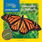 book cover of National Geographic Kids Look and Learn: Caterpillar to Butterfly (Look & Learn) by National Geographic Kids