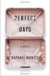 book cover of Perfect Days: A Novel by Raphael Montes