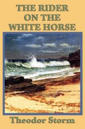 book cover of Jeździec na siwym koniu by Theodor Storm