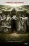 1. L'épreuve : Le labyrinthe