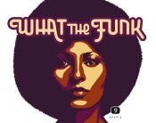 book cover of What the Funk: Eine Einführung in funky Music by Gino Faglioni