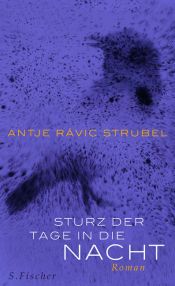 book cover of Sturz der Tage in die Nacht by Antje Rávic Strubel