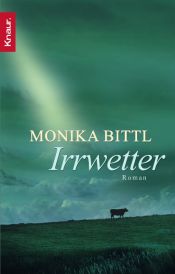 book cover of Irrwetter by Monika Bittl