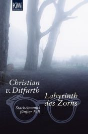 book cover of Labyrinth des Zorns : Stachelmanns fünfter Fall by Christian von Ditfurth