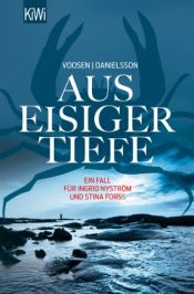 book cover of Aus eisiger Tiefe by Kerstin Signe Danielsson|Roman Voosen