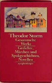 book cover of Gesammelte Werke. Novellen 1 - 3 by Theodor Storm