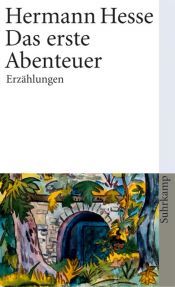 book cover of Das erste Abenteuer by Hermanis Hese