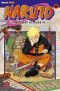 Naruto: v. 35 (Naruto (Graphic Novels))