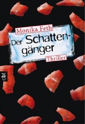 book cover of De schaduwloper by Monika Feth