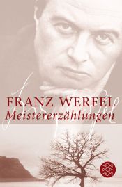book cover of Meistererzählungen by Franz Werfel