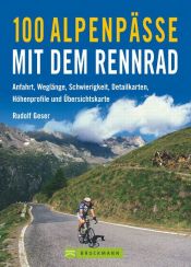book cover of 100 Alpenpässe mit dem Rennrad by Rudolf Geser
