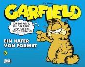 book cover of Garfield 03: Ein Kater von Format by Jim Davis