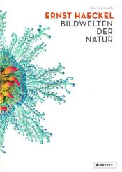 book cover of Ernst Haeckel. Bildwelten der Natur by Olaf Breidbach