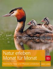book cover of Natur erleben Monat für Monat: Heimische Tiere und Pflanzen entdecken by Mario Ludwig