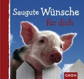 book cover of Saugute Wünsche für dich by Dorothee Bleker