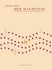 book cover of Der waldsteig by Adalbert Stifter