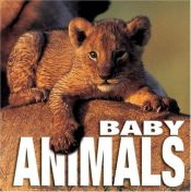 book cover of Baby Animals (Cube Books) by Angela Serena Ildos