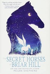 book cover of The Secret Horses of Briar Hill by Megan Shepherd