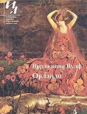 book cover of Орландо by Вирджиния Вулф