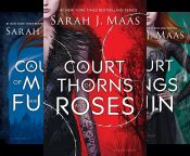 book cover of A Court of Thorns and Roses (3 Book Series) by Sarah J. Maas