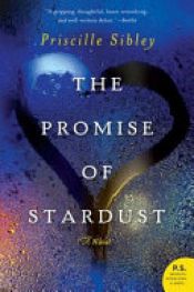 book cover of The Promise of Stardust by Priscille Sibley