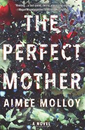 book cover of The Perfect Mother by Aimee Molloy