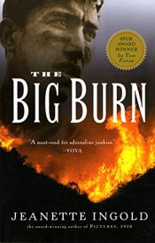 book cover of The Big Burn by Jeanette Ingold