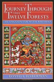 book cover of Journey through the twelve forests by David L. Haberman