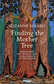 book cover of Finding the Mother Tree by Suzanne Simard