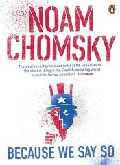 book cover of Because We Say So by Noam Chomsky