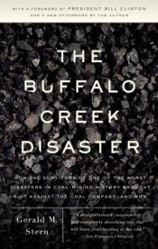 book cover of The Buffalo Creek Disaster: How the survivors of one of the worst disasters in coal-mining history brought suit against the coal company--and won by Gerald M. Stern