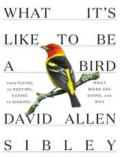 book cover of What It's Like to Be a Bird by David Allen Sibley