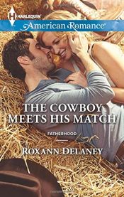 book cover of The Cowboy Meets His Match (Fatherhood) by Roxann Delaney