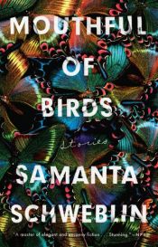 book cover of Mouthful of Birds by Samanta Schweblin