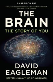 book cover of The Brain by David Eagleman