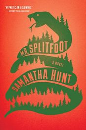 book cover of Mr. Splitfoot by Samantha Hunt