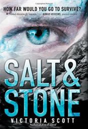 book cover of Salt & Stone by Victoria Scott