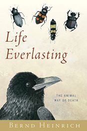 book cover of Life Everlasting: The Animal Way of Death by Bernd Heinrich