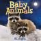 Baby Animals At Night (Baby Animals (Kingfisher))