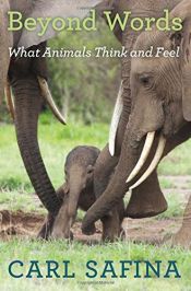 book cover of Beyond Words: What Animals Think and Feel by Carl Safina