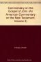 Commentary on the Gospel of John (An American Commentary on the New Testament, Volume 3)