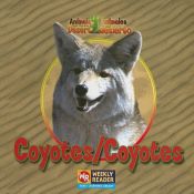 book cover of Coyotes by JoAnn Early Macken