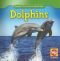 Dolphins/Delfines (Animals That Live in the Ocean/Animales Que Viven En El Oceano)