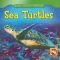 Sea Turtles/Tortugas Marinas (Animals That Live in the Ocean/Animales Que Viven En El Oceano)