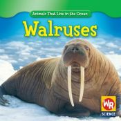 book cover of Walruses (Animals That Live in the Ocean) by Valerie J. Weber